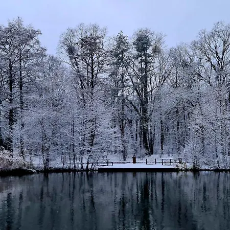 Appartamento Greatforestsportandspauniversityflat *