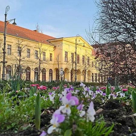 Greatforestsportandspauniversityflat Appartamento