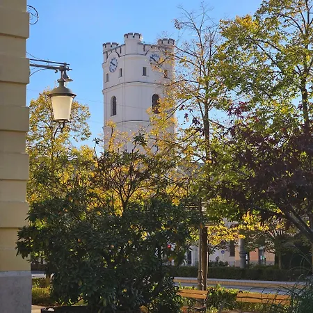 Greatforestsportandspauniversityflat Debrecen