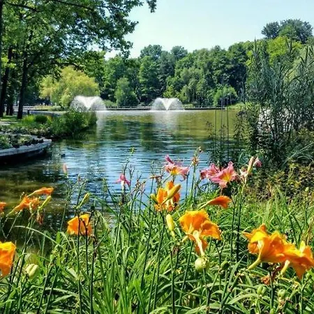 Appartamento Greatforestsportandspauniversityflat Debrecen