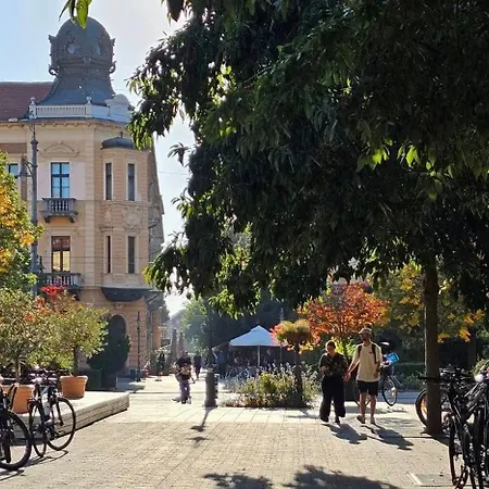 Greatforestsportandspauniversityflat