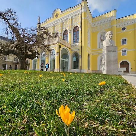 Greatforestsportandspauniversityflat Appartamento *