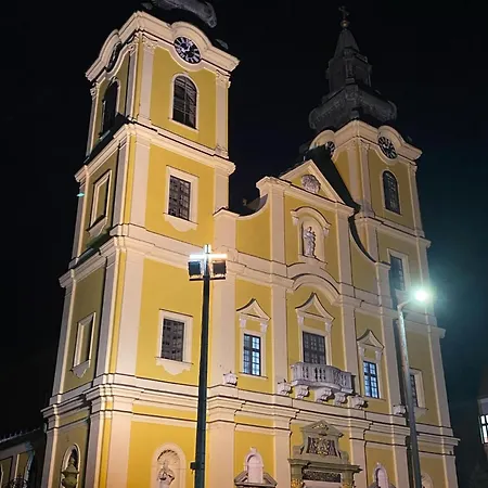 Appartamento Greatforestsportandspauniversityflat *