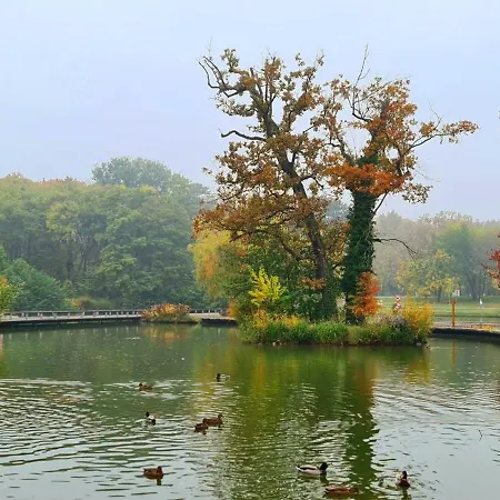 Apartament Greatforestsportandspauniversityflat